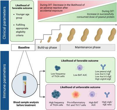 Immune signatures predicting the clinical outcome of peanut oral immunotherapy: where we stand
